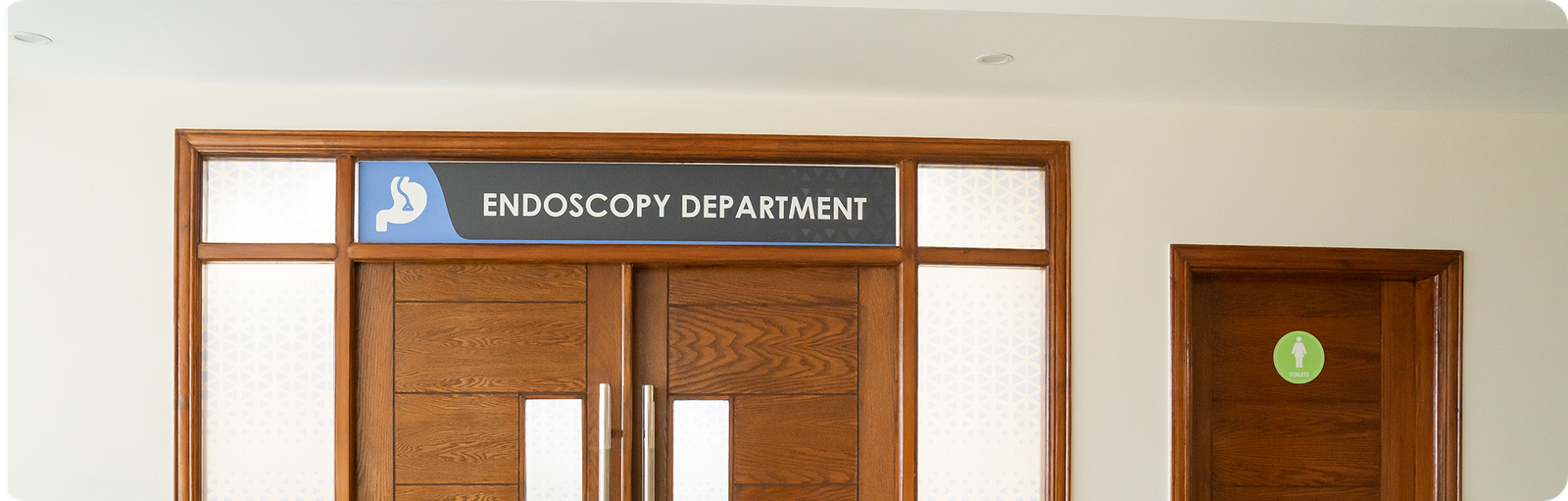 Endoscopy